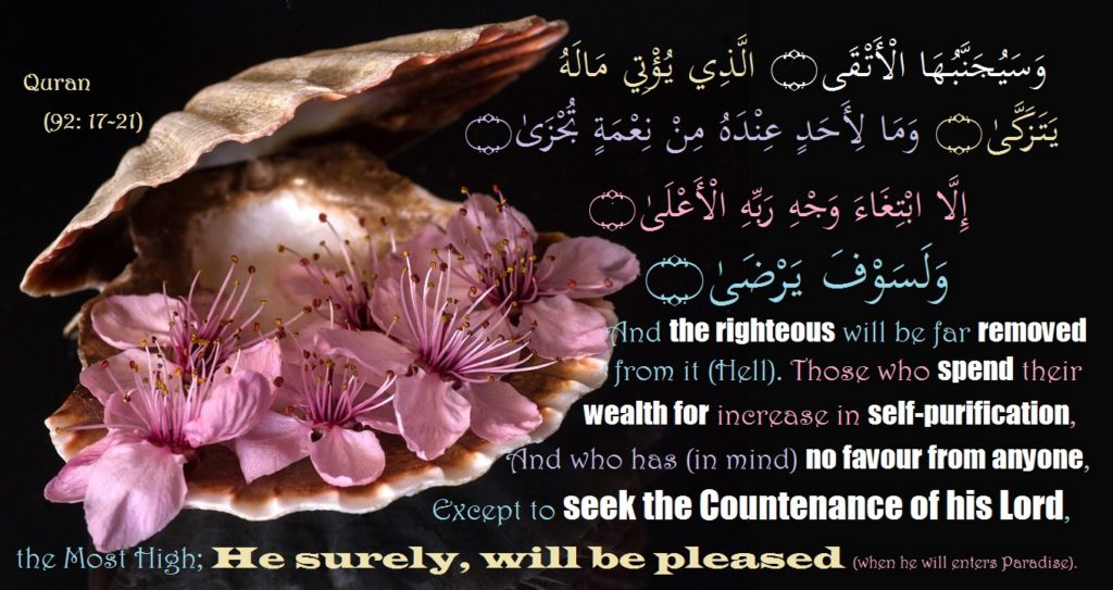seeking Allah's pleasure