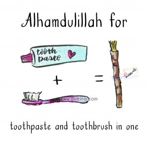 miswak